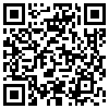 QR Code Handyversion