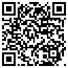 QR Code Handyversion