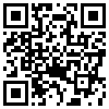QR Code Handyversion