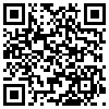 QR Code Handyversion