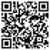 QR Code Handyversion