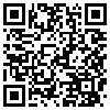 QR Code Handyversion