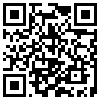 QR Code Handyversion