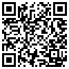 QR Code Handyversion