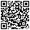 QR Code Handyversion