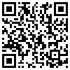 QR Code Handyversion