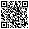 QR Code Handyversion