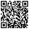 QR Code Handyversion