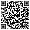 QR Code Handyversion