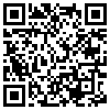 QR Code Handyversion