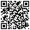 QR Code Handyversion