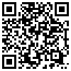 QR Code Handyversion