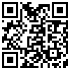 QR Code Handyversion