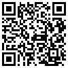 QR Code Handyversion