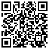 QR Code Handyversion