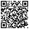 QR Code Handyversion