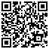 QR Code Handyversion