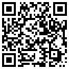 QR Code Handyversion