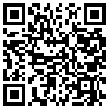 QR Code Handyversion