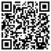 QR Code Handyversion