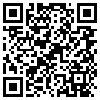 QR Code Handyversion