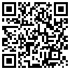 QR Code Handyversion