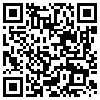 QR Code Handyversion