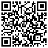 QR Code Handyversion