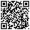 QR Code Handyversion