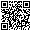 QR Code Handyversion