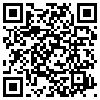 QR Code Handyversion