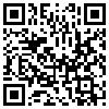 QR Code Handyversion