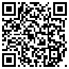 QR Code Handyversion