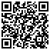 QR Code Handyversion