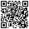 QR Code Handyversion