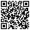 QR Code Handyversion