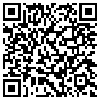 QR Code Handyversion