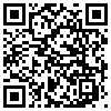 QR Code Handyversion