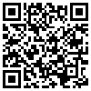 QR Code Handyversion