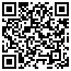 QR Code Handyversion