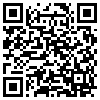 QR Code Handyversion