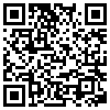 QR Code Handyversion