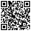 QR Code Handyversion