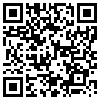 QR Code Handyversion