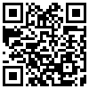 QR Code Handyversion