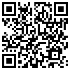 QR Code Handyversion