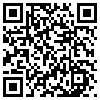 QR Code Handyversion