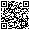 QR Code Handyversion