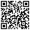 QR Code Handyversion