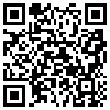 QR Code Handyversion